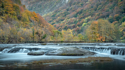 waterfall in autumn