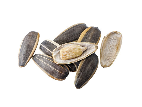 Close-up of delicious black sunflower seeds Natural agricultural seeds isolated on white background.