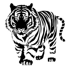 tiger