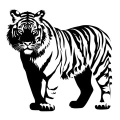 tiger