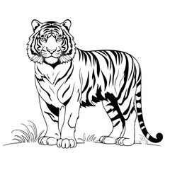 Fototapeta premium tiger illustration