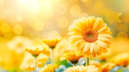 Plexiglas foto achterwand Spring flower composition with close up yellow gerbera on blurred flower garden background with bokeh and sunny light. Springtime. Natural blossoming holiday background. Copy space © KRISTINA KUPTSEVICH