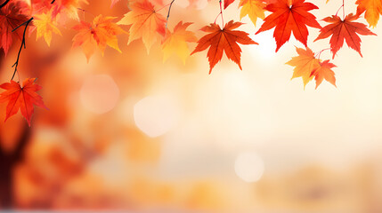 Obraz premium Autumn leaves form a beautiful background
