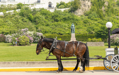 Horse drawn carriage on Mackinac Island during the Lilac Festival - obrazy, fototapety, plakaty