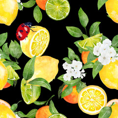 Seamless pattern watercolor with citrus orange lime lemon fruit with ladybug background