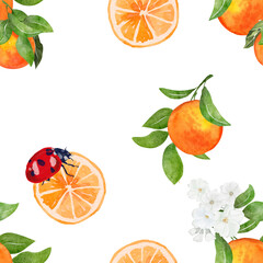 Seamless pattern watercolor with citrus orange fruit tropical background