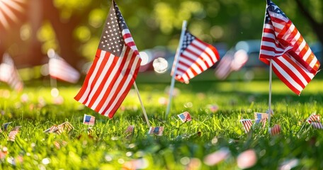Memorial Day Remembrance with Miniature Flags in the Park