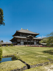 Ancient Temple in The Green Grass 