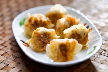 chinese pan fried dumplings