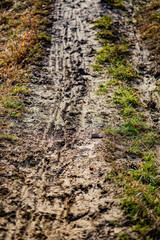 wet sticky mud with grass