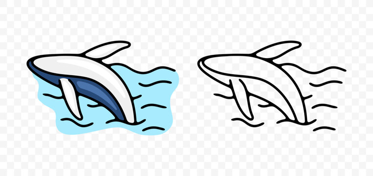 Humpback whale or blue whale jumps out of the water, graphic design. Animals, fish, ecosystem, ocean and sea with waves, vector design and illustration