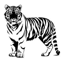 tiger illustration