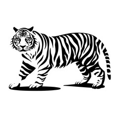 Obraz premium tiger