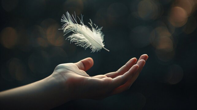 A single feather drifting towards an outstretched hand an abstract portrayal of help delicate and profound