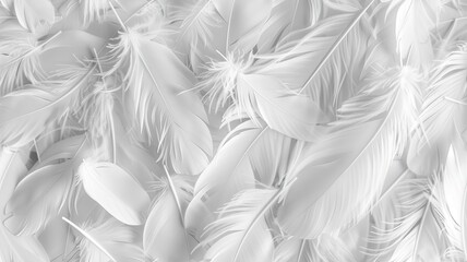 a white feathers background, presenting an abstract pattern texture reminiscent of delicate...