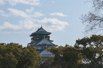 Sakura cherry blossom blooming in Osaka, Japan castle garden with traditional Japanese architecture pagodas, temples and gardening