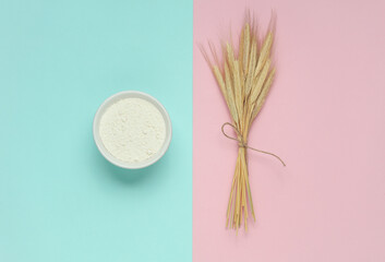 Spikelets of wheat and flour on pink blue background. Top view