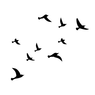 Flock of birds icon vector illustration. Silhouette of bird migration for graphic resource. Flock of birds icon for nature, landscape, fauna and environment