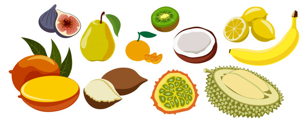 set of colored isolated fruits in flat style in vector. image of natural healthy eco food.template for logo sticker poster print decor design app web page