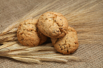 Whole grain cookies with wheat spikelets on burlap background