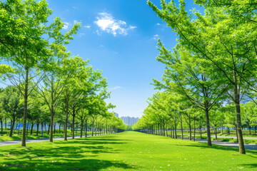 empty green park, blue sky, between downtown ,Generative Ai