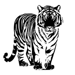 tiger illustration