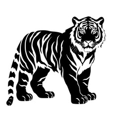 Fototapeta premium white tiger illustration