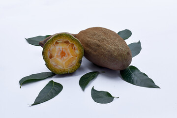 Mahogany tree fruit isolated on white, Mahogany fruit is a traditional herbal medicine