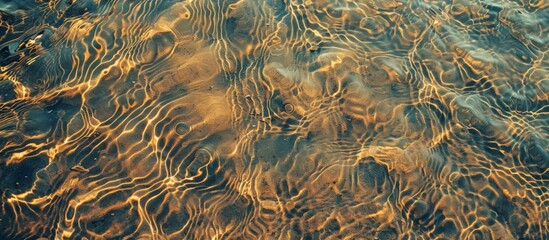 Close up of water surface reflecting plants and grass in natural landscape