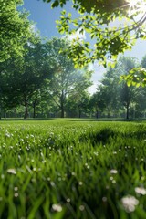 Sunny park, large lawn, in spring, no one in the light, realistic scene, 