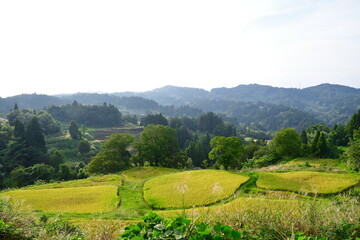 Obraz premium 儀明の棚田（新潟県）