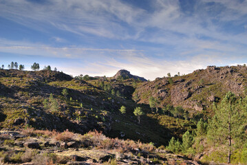 Fototapeta na wymiar Mountain landscape with vegetation in a sunny spring, Serra do Gerês in Portugal