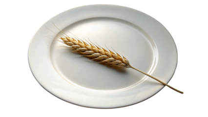 Ear of wheat and wheat grain in a plate isolated on Transparent background.