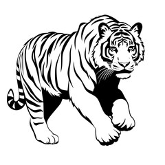 tiger illustration