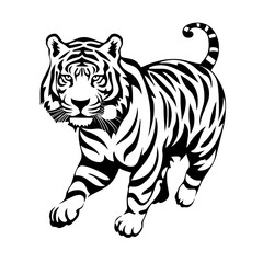 tiger illustration