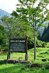 結東じゃまくら石公園（新潟県）