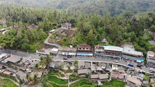 Ceking Rice Terrace in Bali, Indonesia. Rice Fields in Background. Drone Point of View. Wide Angle