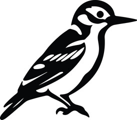 Obraz premium downy woodpecker silhouette
