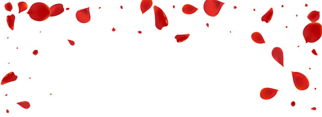 Pink_Petals_Rose_Flying_159.eps