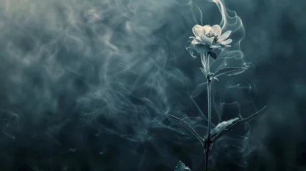 Fotobehang Wilting Flower Engulfed in Cigarette Smoke - Metaphor for the Slow Poison of Tobacco on Nature and Health © pkproject