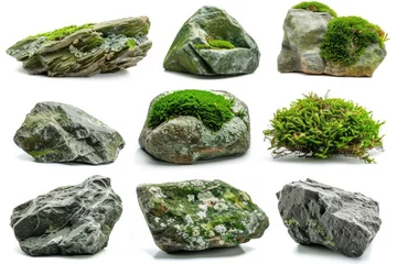 Foto op Canvas Set of natural moss-covered rocks and boulders isolated on white, nature and ecology concept © furyon