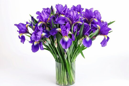 Stunning floral arrangement with vibrant purple irises, large bouquet isolated on white