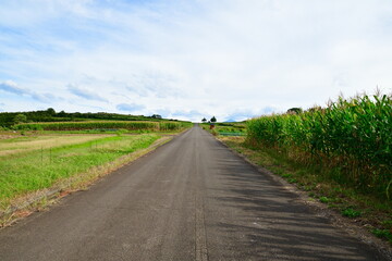 上原高原の景色（新潟県）