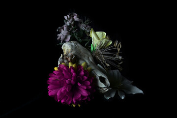Floral skull still life