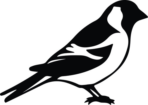 recommend clip art: goldfinch silhouette