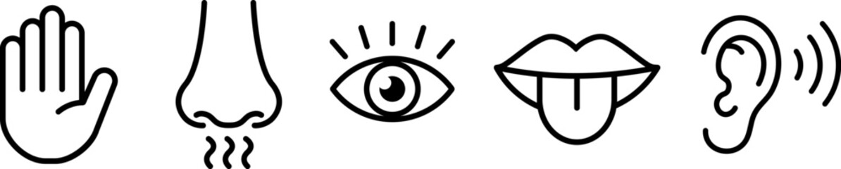 Five senses icons design in linear style.