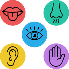 Five senses icons design in outline style.