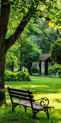 Green Outdoors Park. Scenic Garden View with Bench, Trees, and Nature