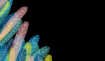 marco artístico de vegetación variopinto, pastel, textura de acuarela, con fonfo oscuro, negro,  con espacio, web , redes - obrazy, fototapety, plakaty