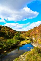 仙台市広瀬川の紅葉（宮城県）